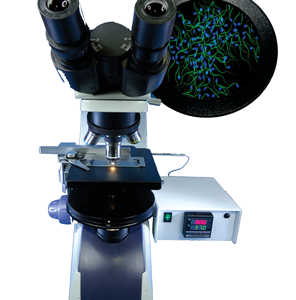 Microscope supplier
