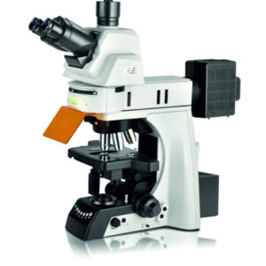 PZQ-106D Motorized Fluorescence Microscope